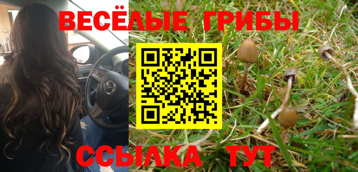 Галлюциногенные грибы Psilocybe  Вход с VPN  Тихвин 